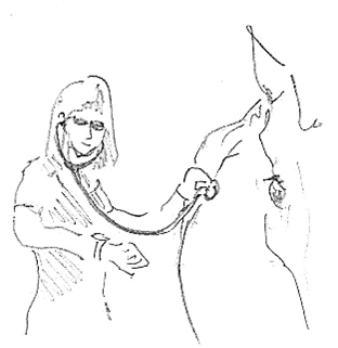 digitale Auskultation