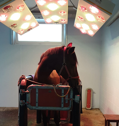 Solarium